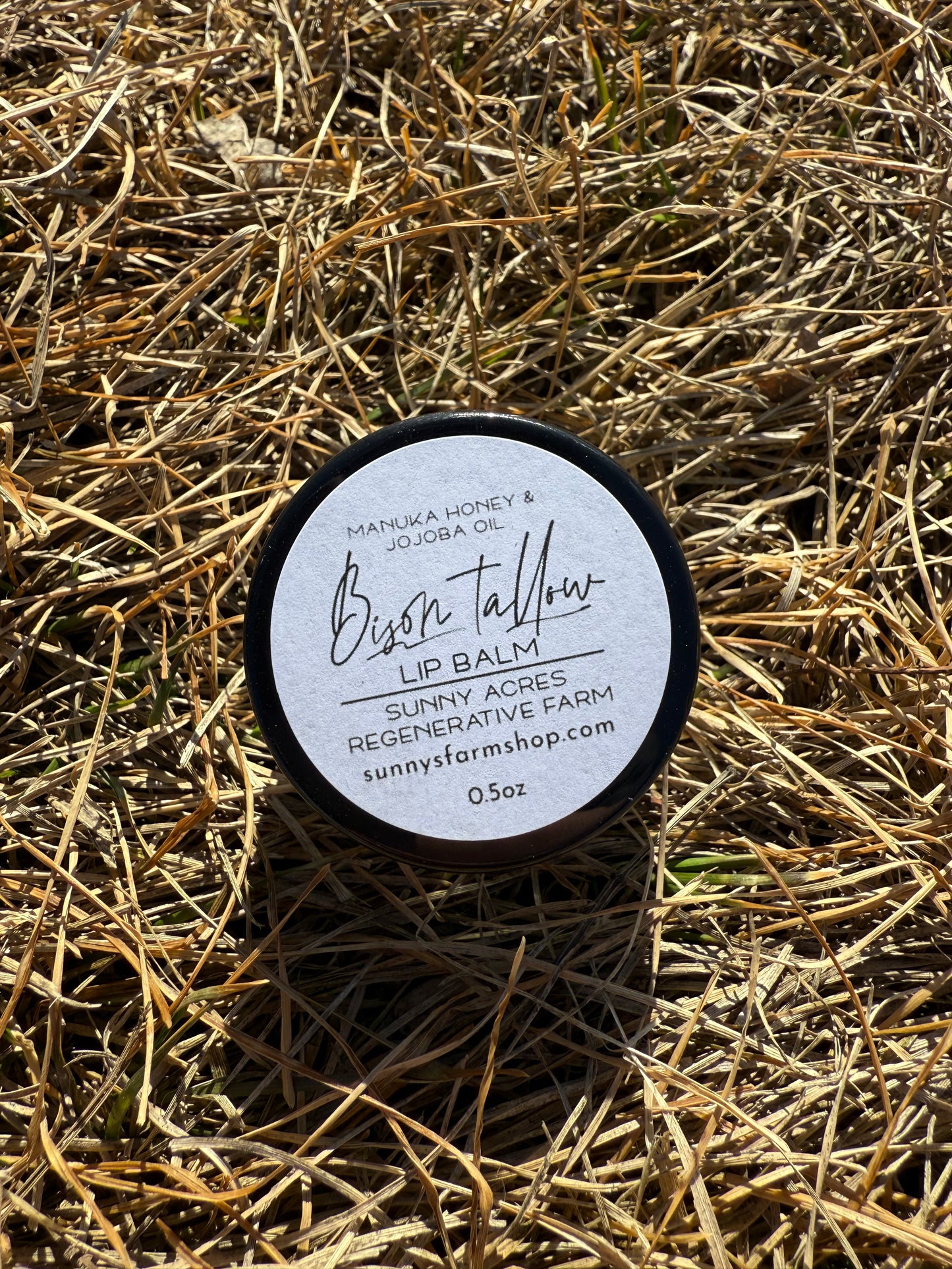 Bison Tallow Lip Balm