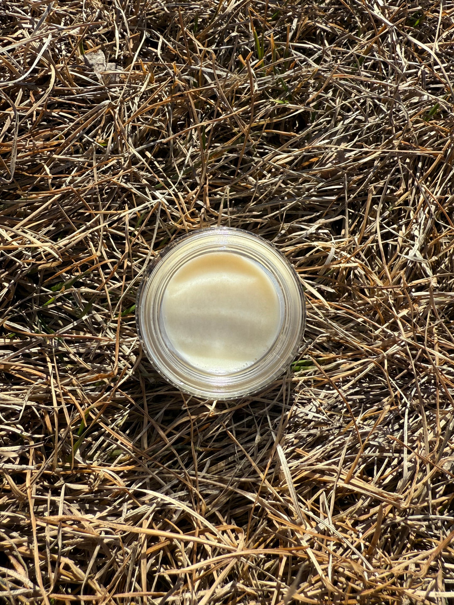 Bison Tallow Lip Balm