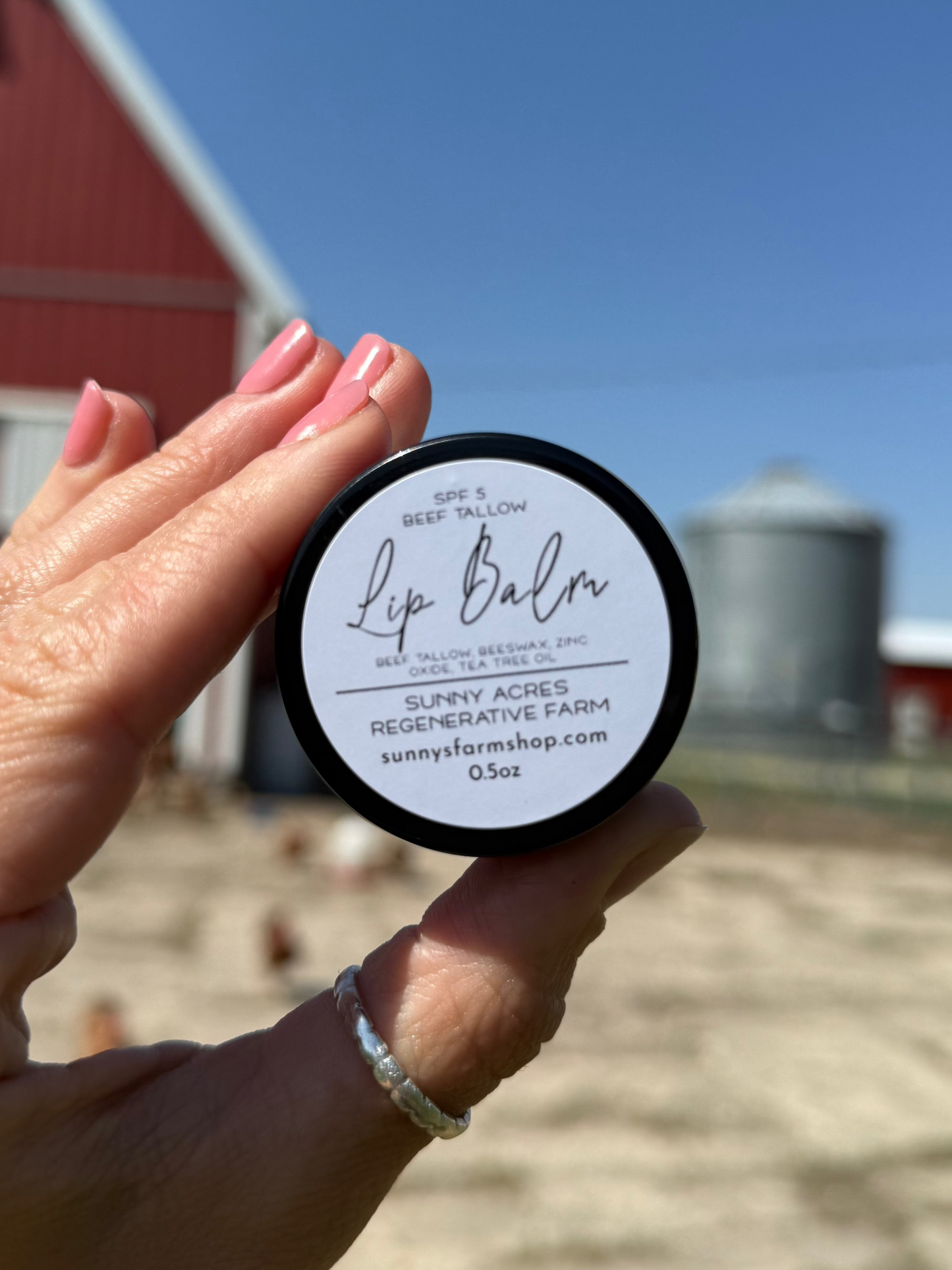 Beef Tallow Lip Balm